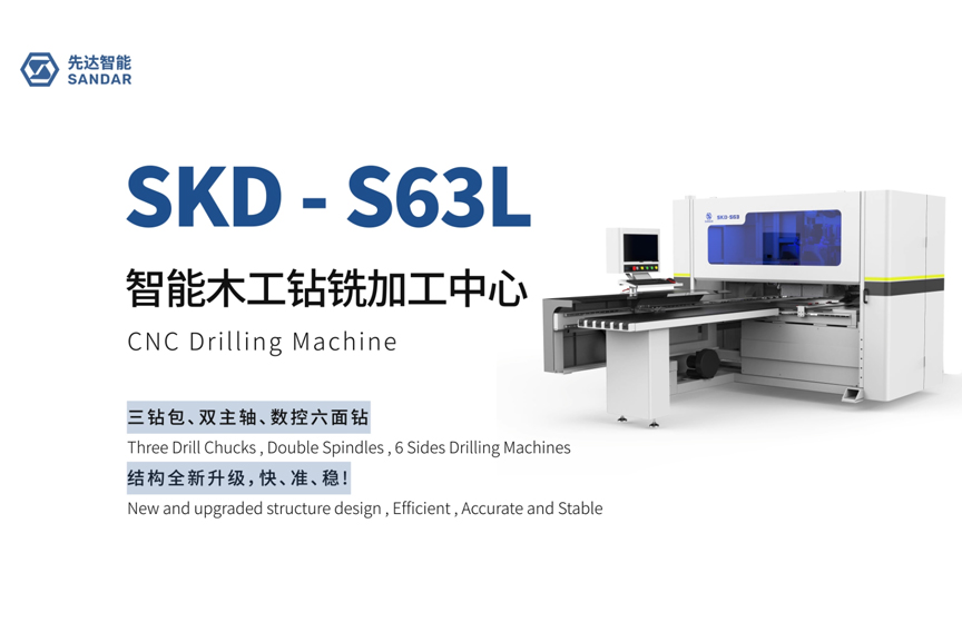 SKD-S63L 先達智能木工鉆銑加工中心